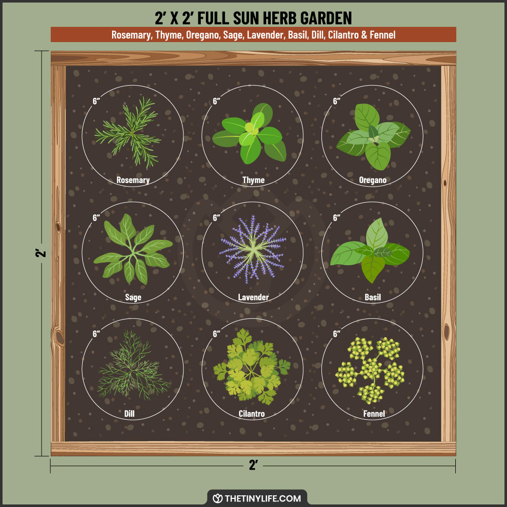full sun herb garden 2x2 layout
