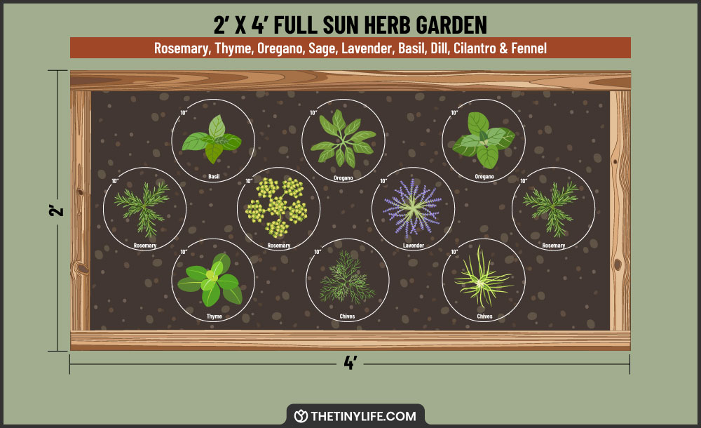 full sun herb garden 2x4 layout