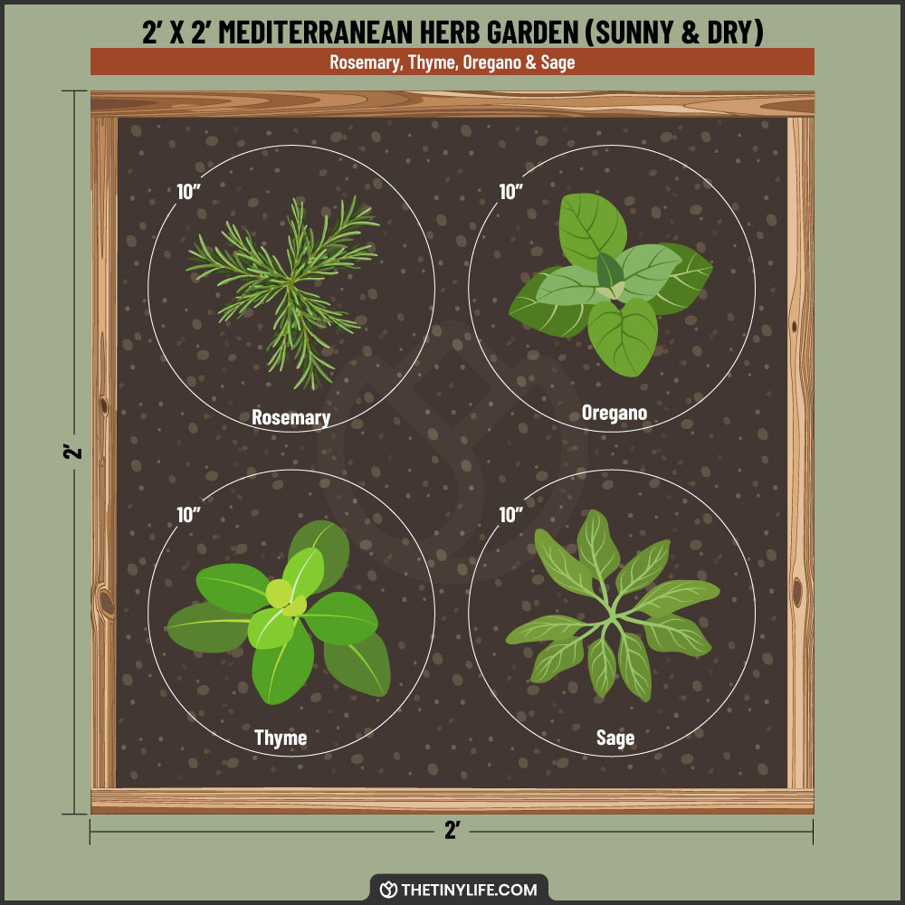 mediterranean dry herb garden 2x2 layout