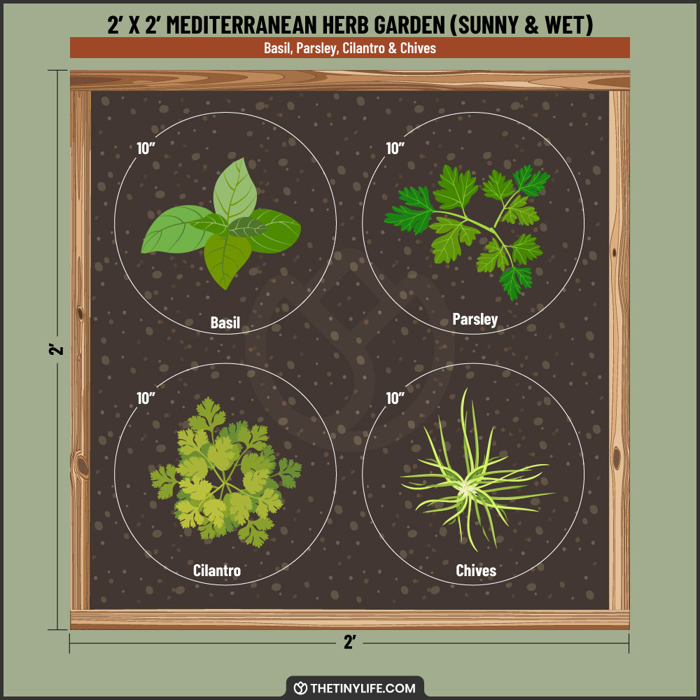 mediterranean wet herb garden 2x2 layout