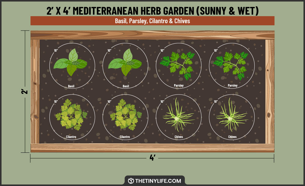 mediterranean wet herb garden 2x4 layout