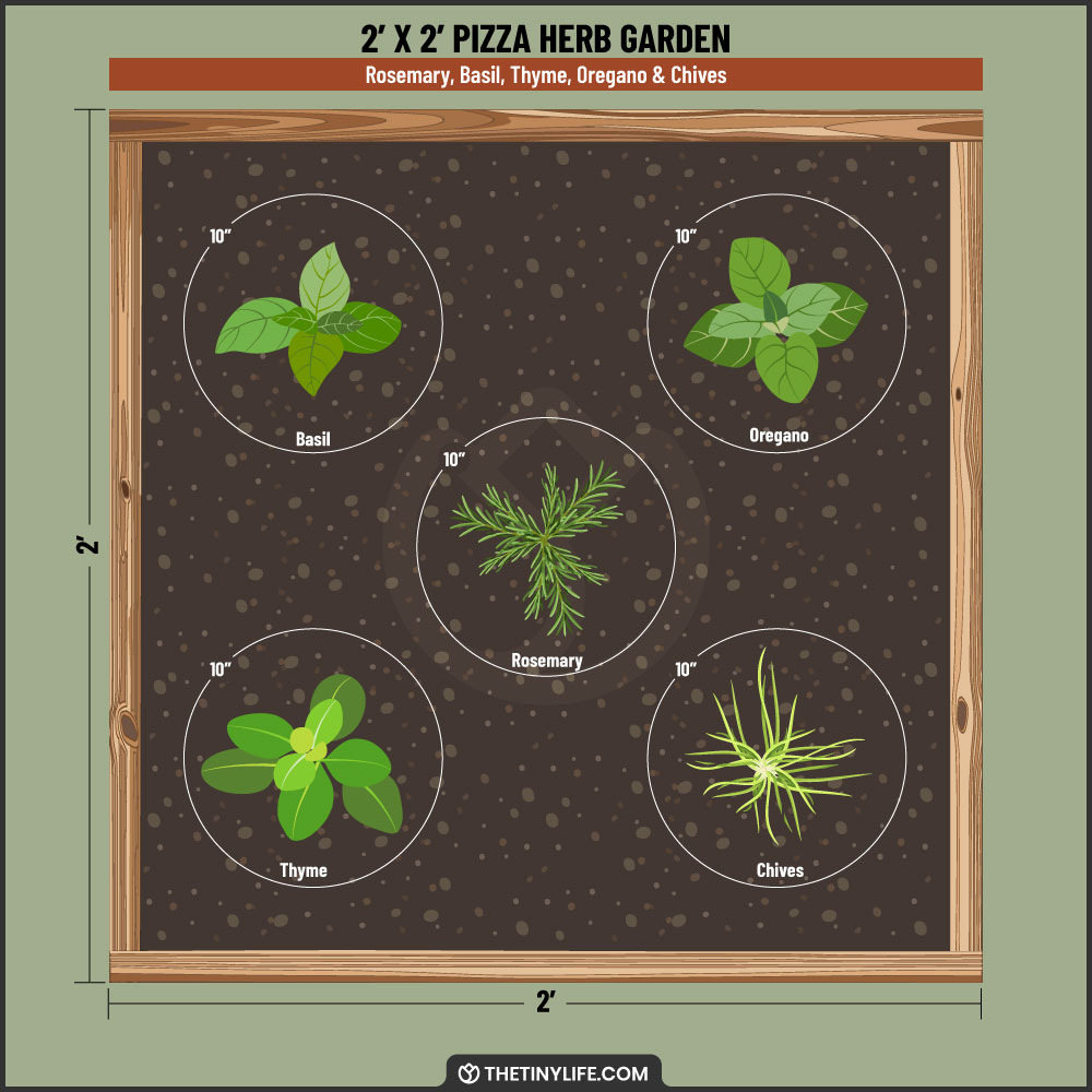 pizza herb garden 2x2 layout