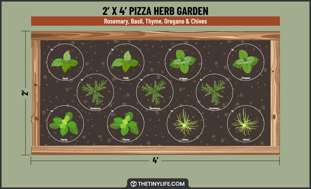 pizza herb garden 2x4 layout
